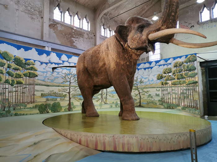 Diorama Altelefant