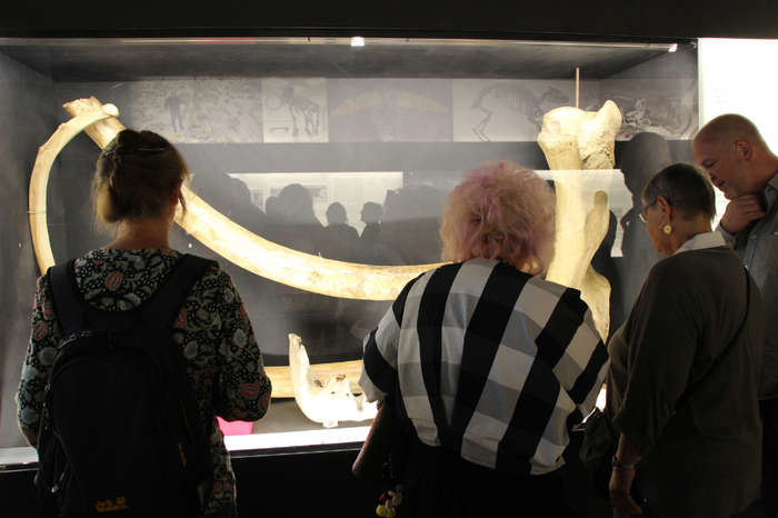 Die Ausstellung Fundort Pfännerhall